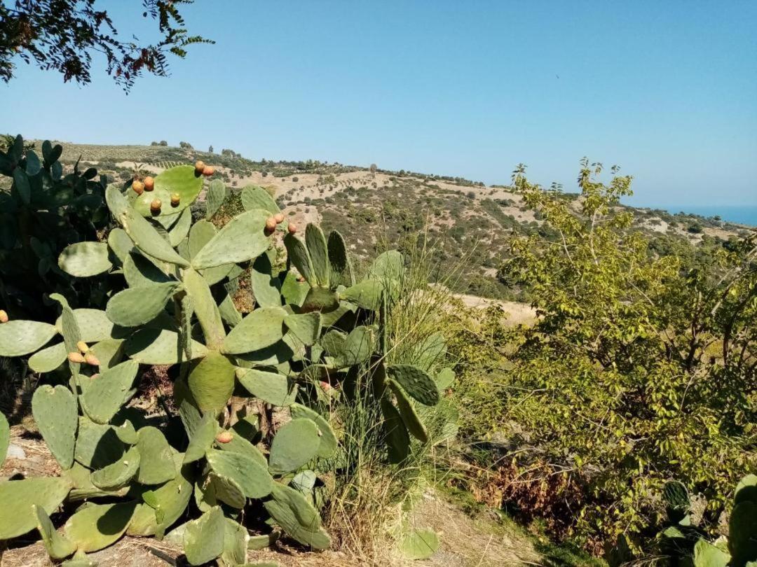 הוילה מונטג'ורדאנו Grassetti מראה חיצוני תמונה
