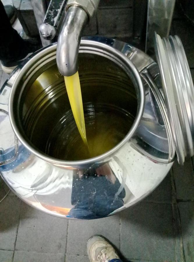 הוילה מונטג'ורדאנו Grassetti מראה חיצוני תמונה