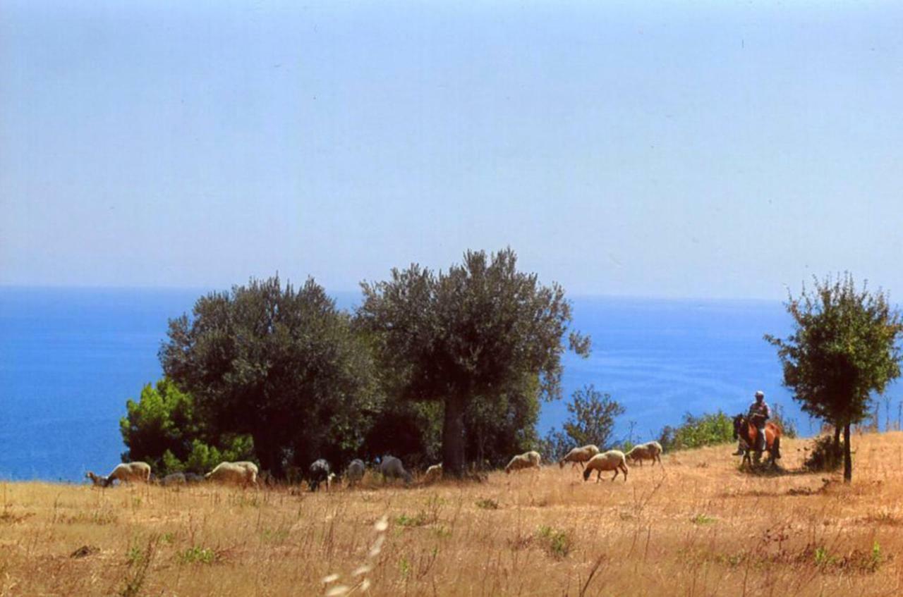 הוילה מונטג'ורדאנו Grassetti מראה חיצוני תמונה