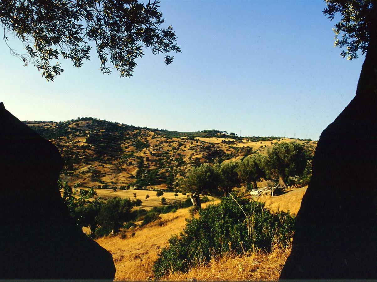 הוילה מונטג'ורדאנו Grassetti מראה חיצוני תמונה