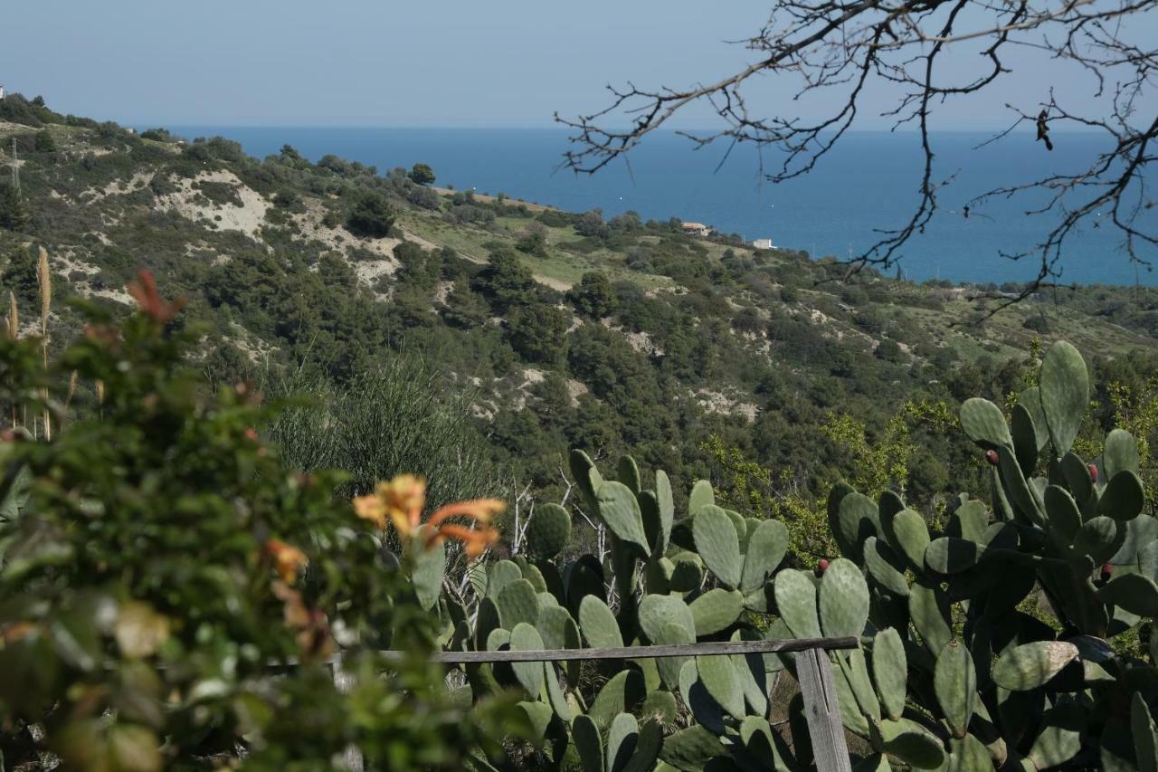 הוילה מונטג'ורדאנו Grassetti מראה חיצוני תמונה